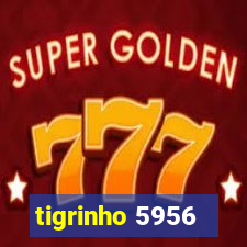 tigrinho 5956